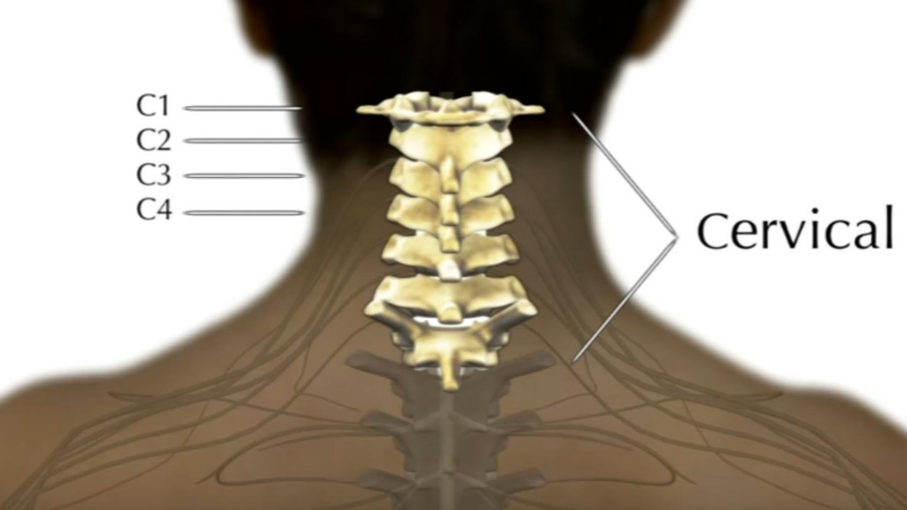 cervical (neck) region pain
